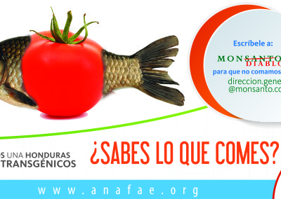 Facebook y Twitter 7